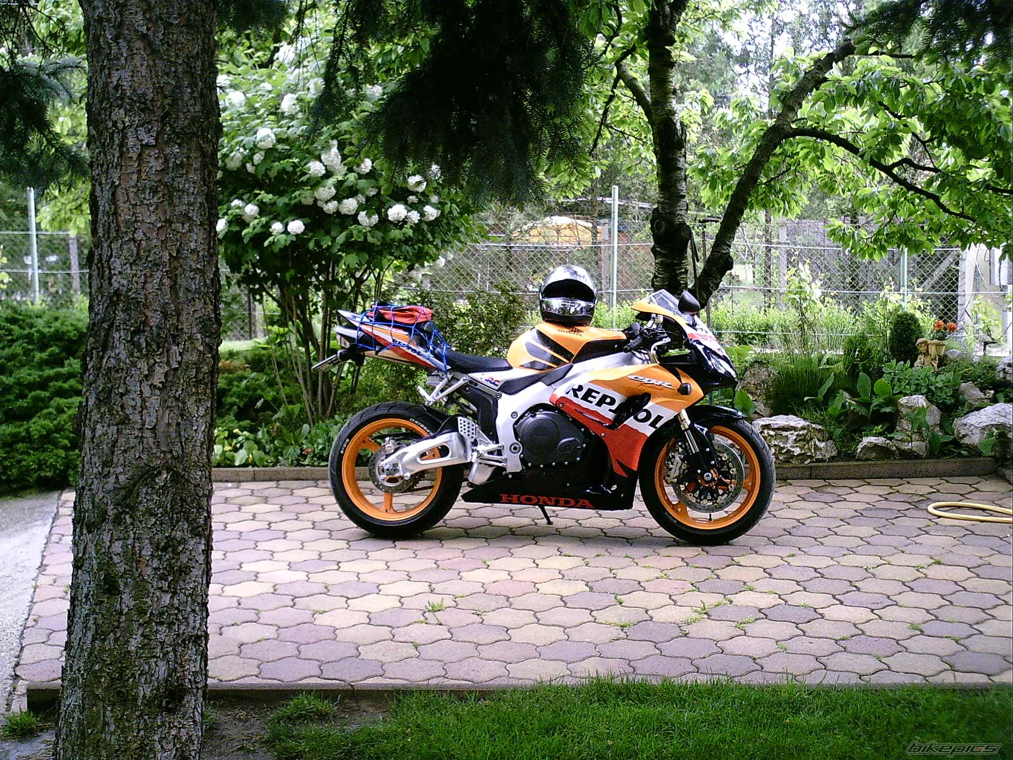 Photo 1284445