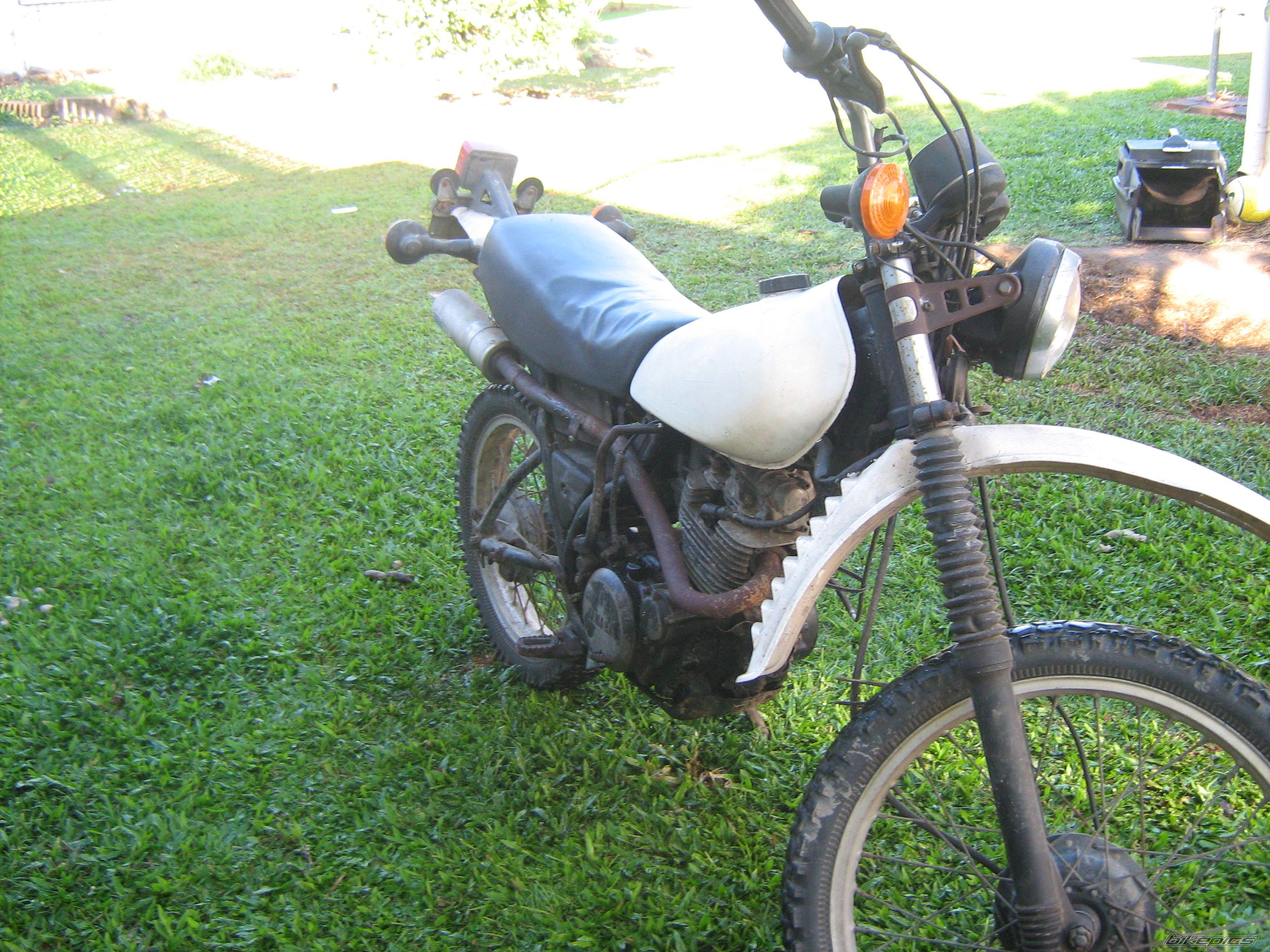 Photo 1284459