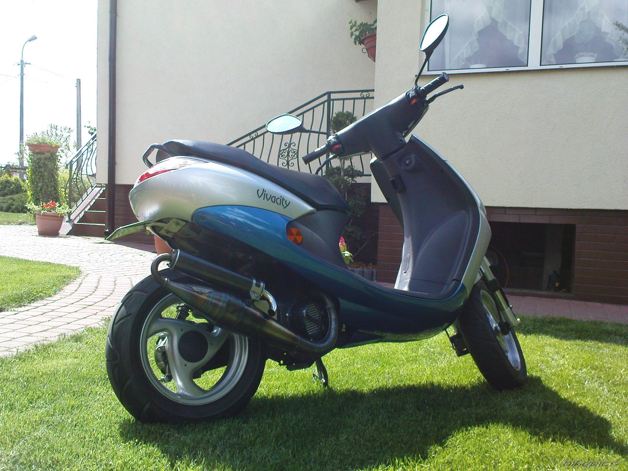 Photo 1284482
