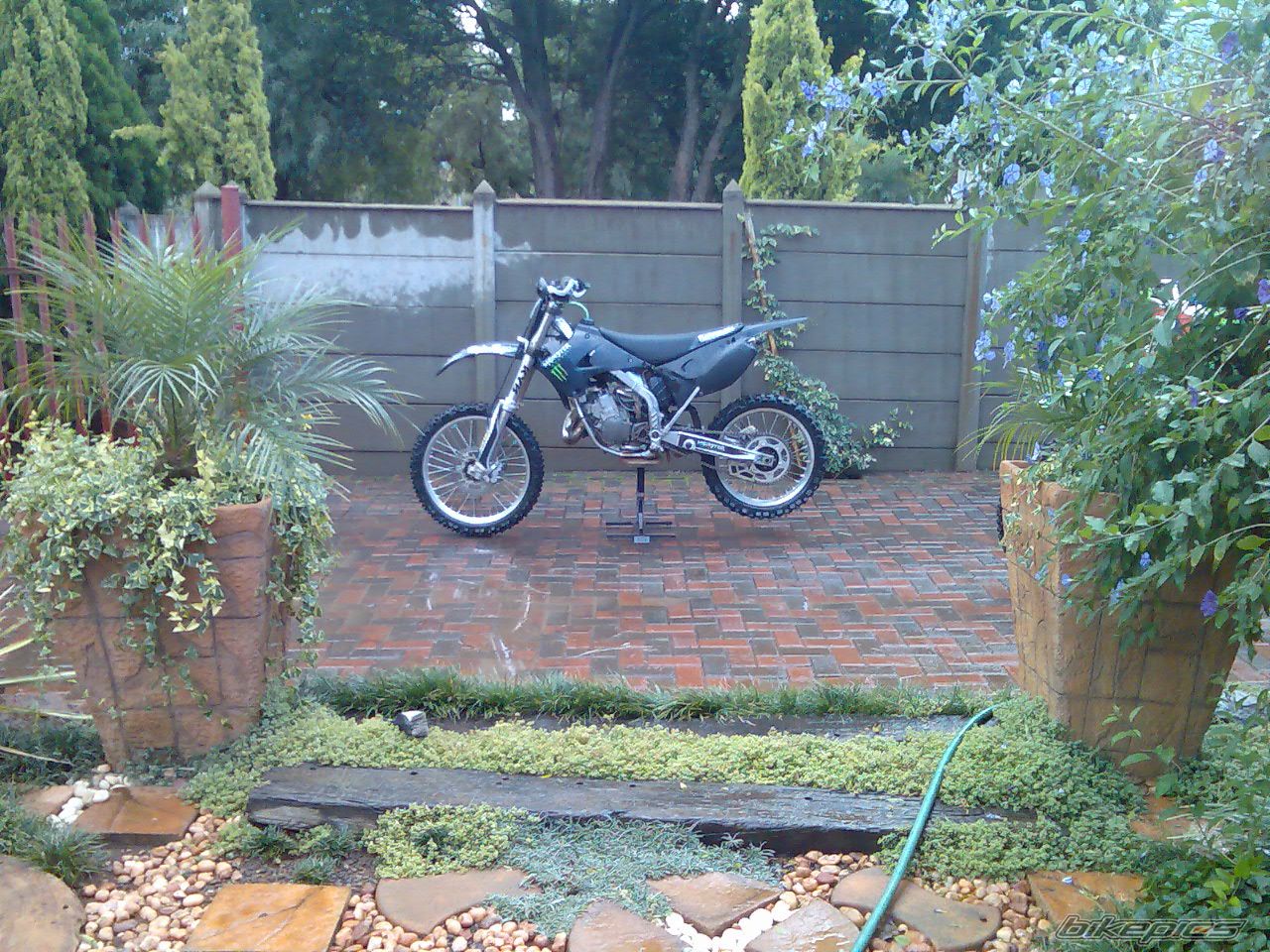 Photo 1284489
