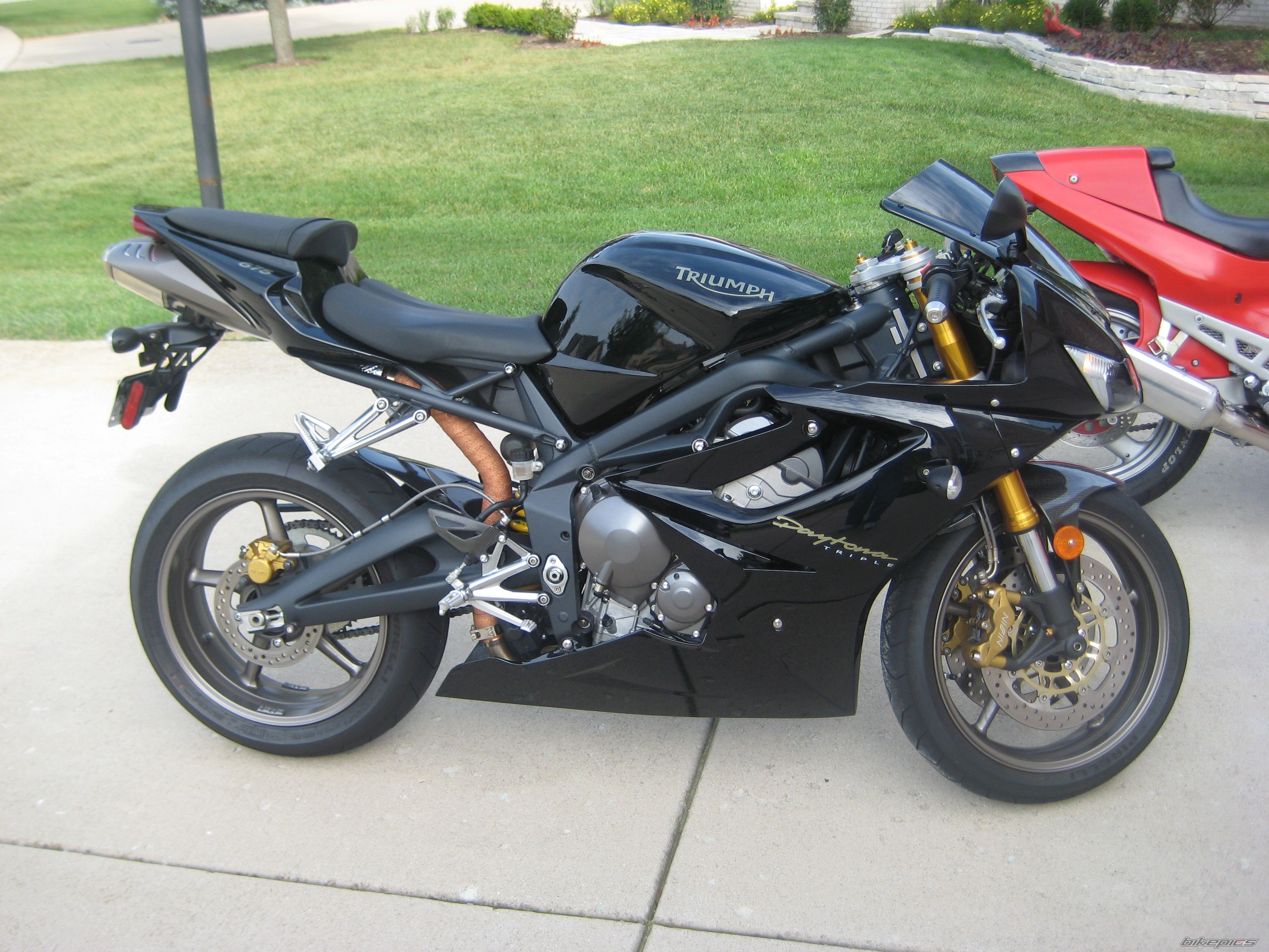 Photo 1284494
