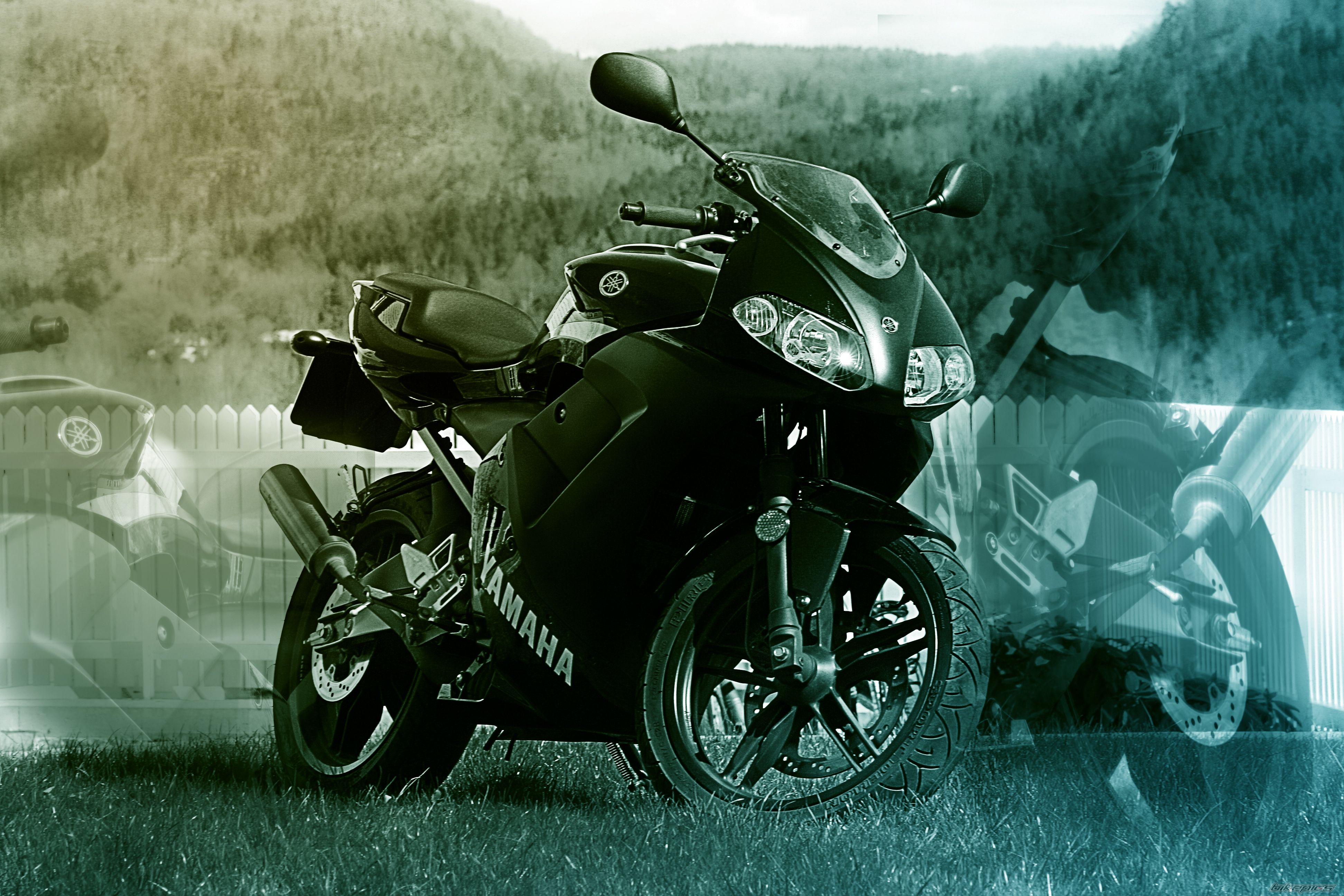 Photo 1284517