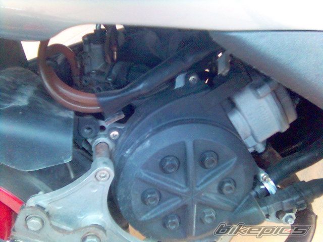Photo 1284563