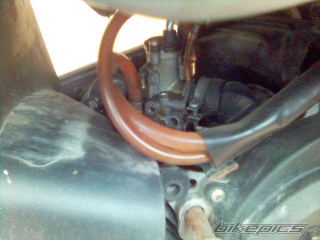 Photo 1284565