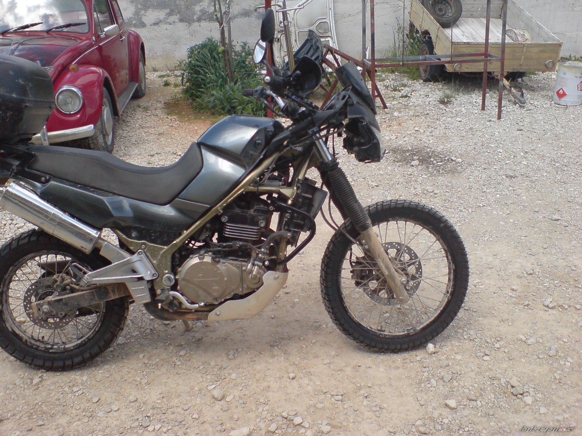Photo 1284606