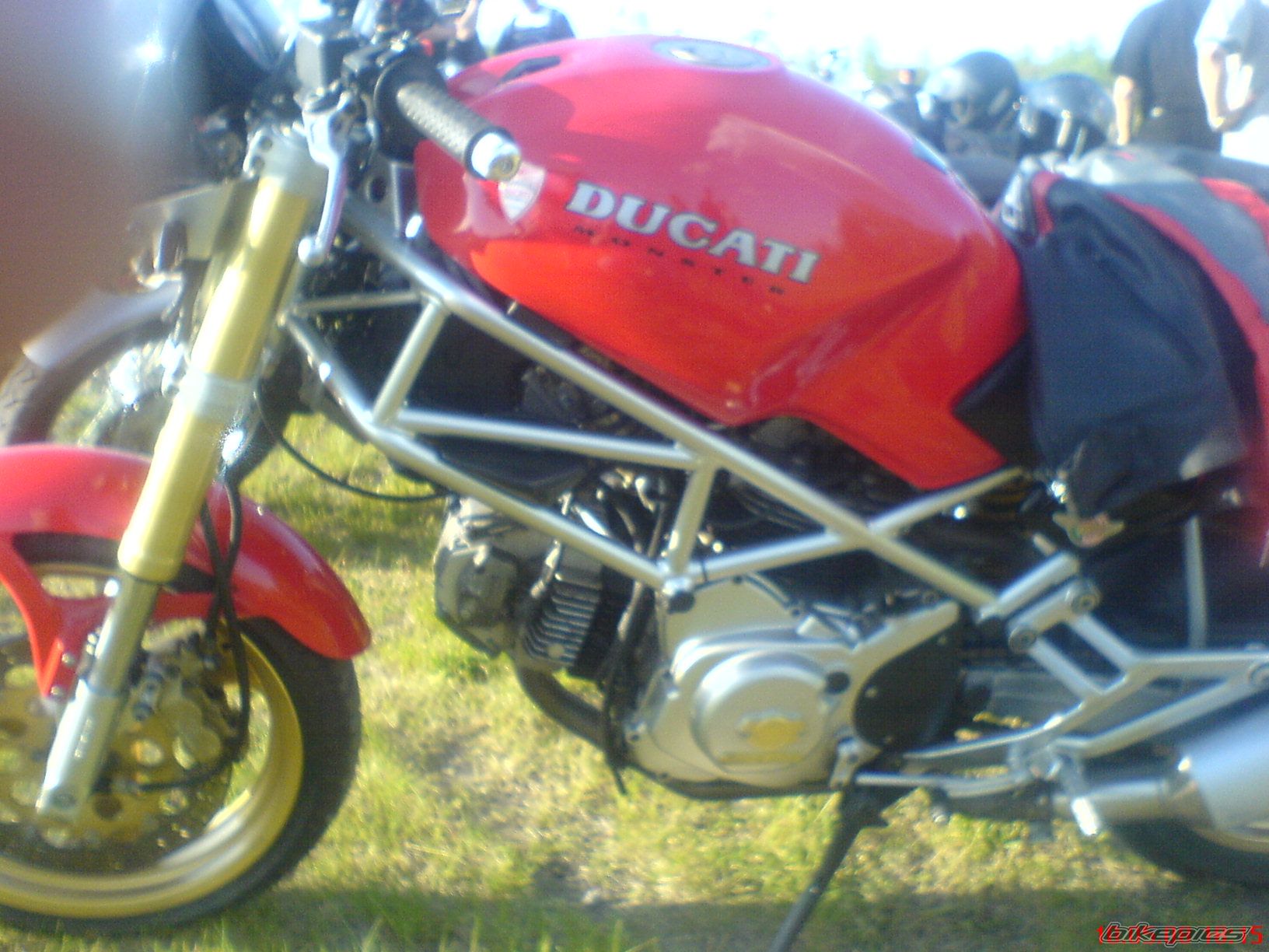 Photo 1284614
