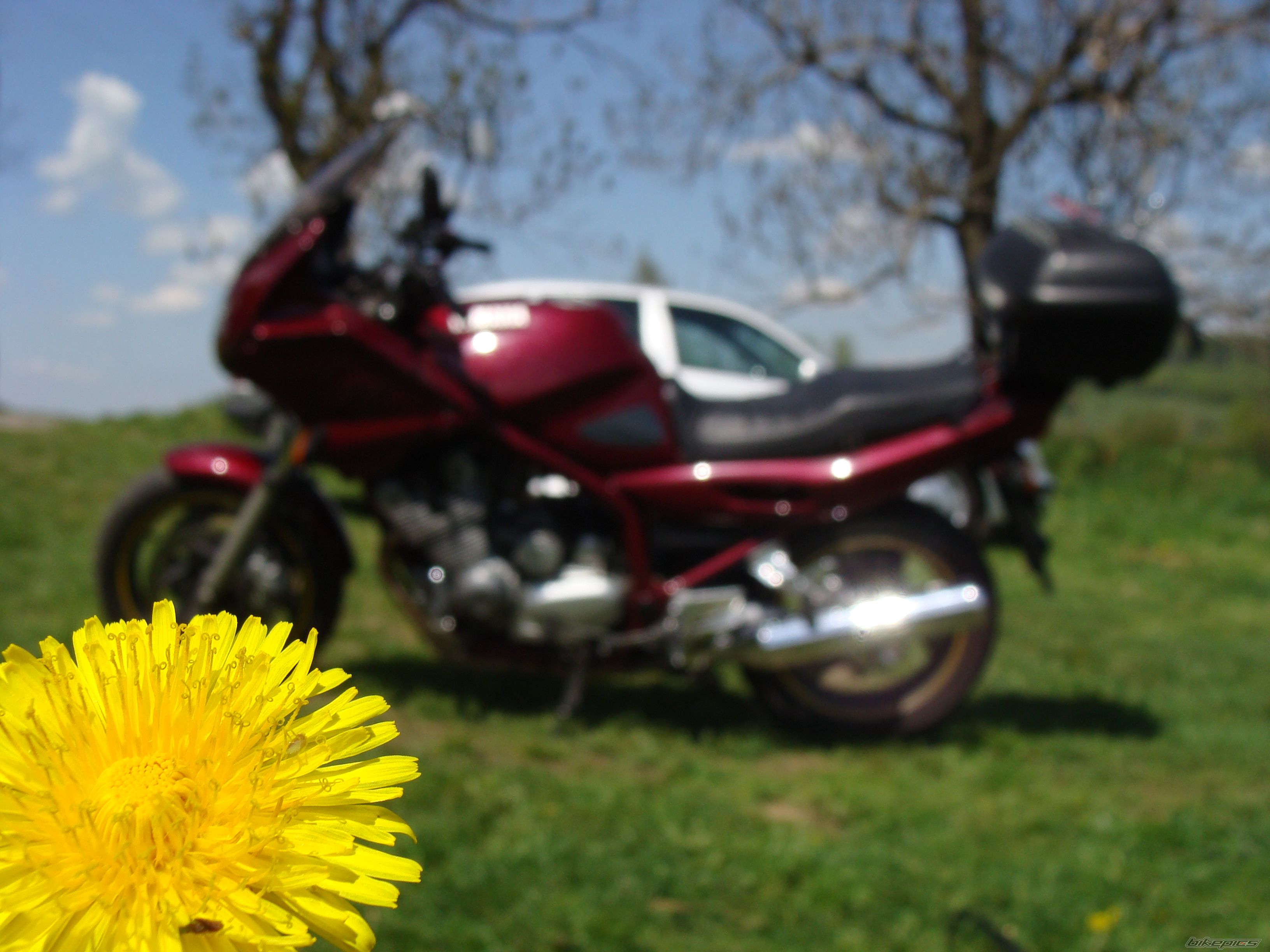 Bike Photo 1284662