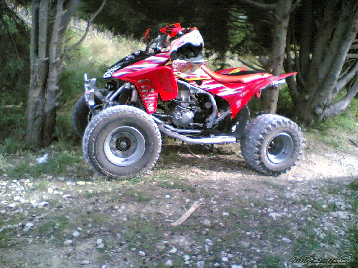 Photo 1284681