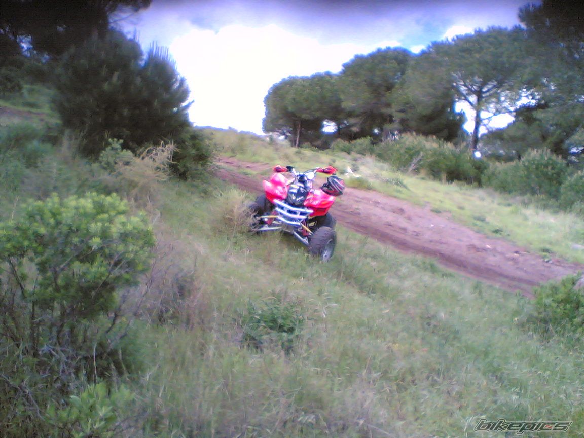Photo 1284688