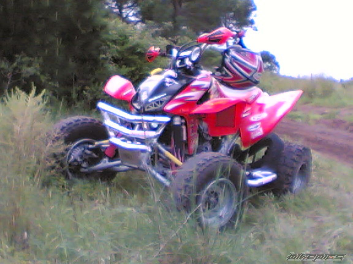 Photo 1284689