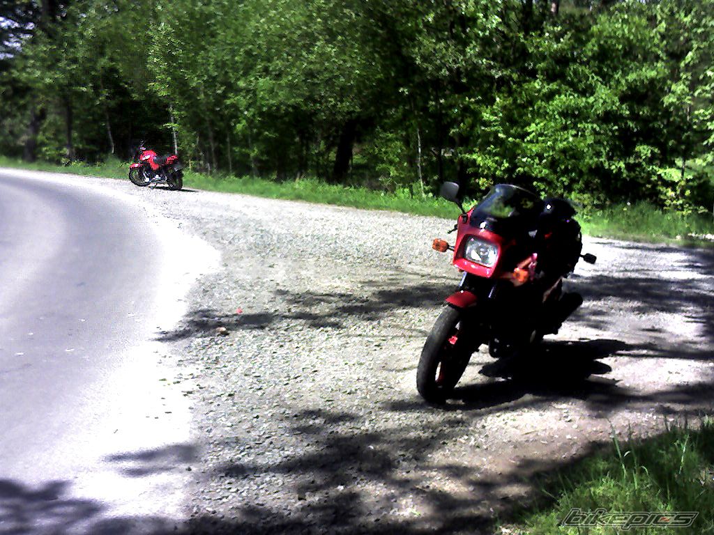 Photo 1284721