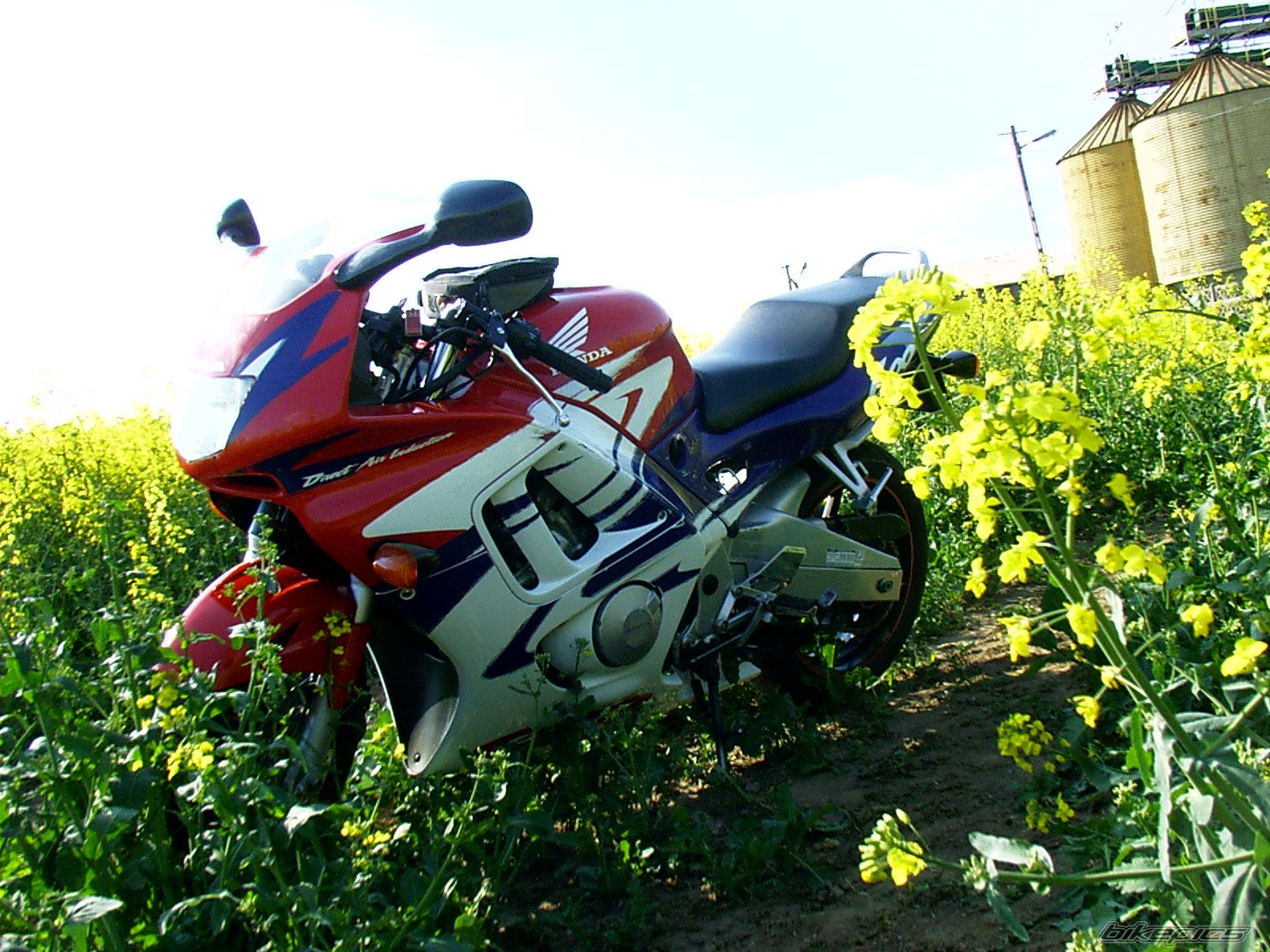Photo 1284725