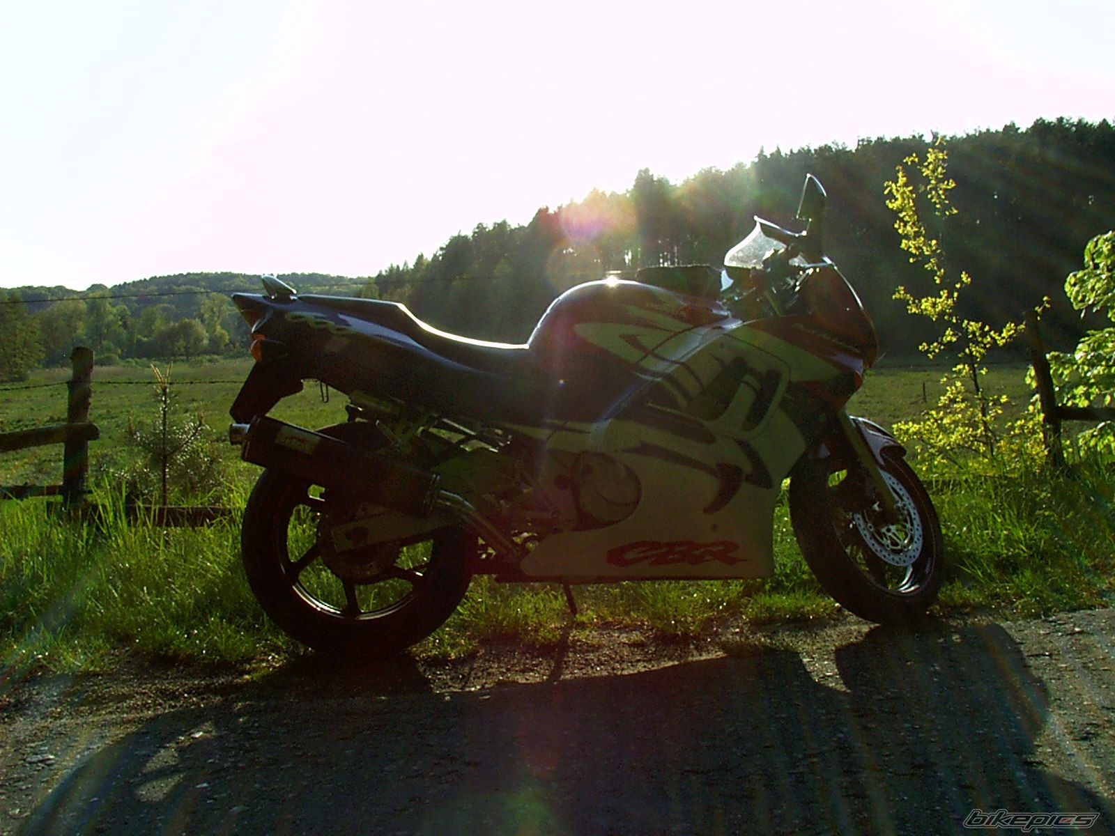 Photo 1284728
