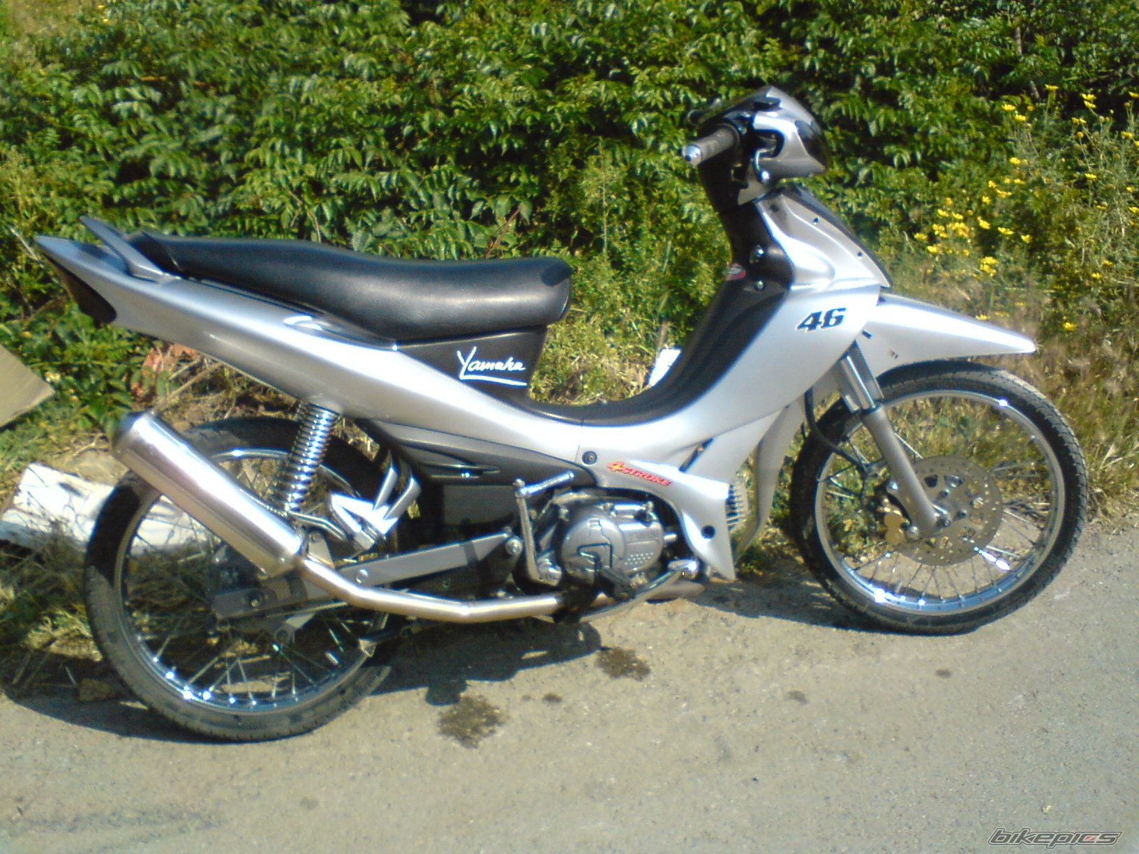 Photo 1284729