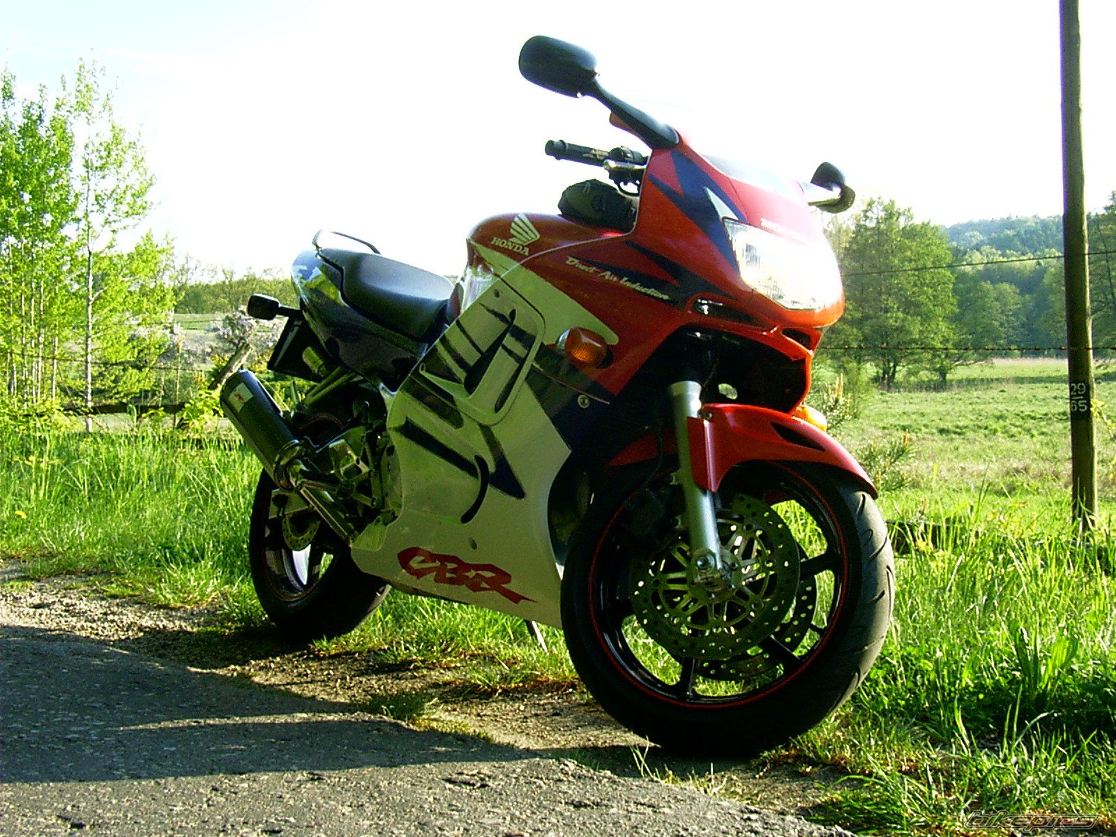 Photo 1284730