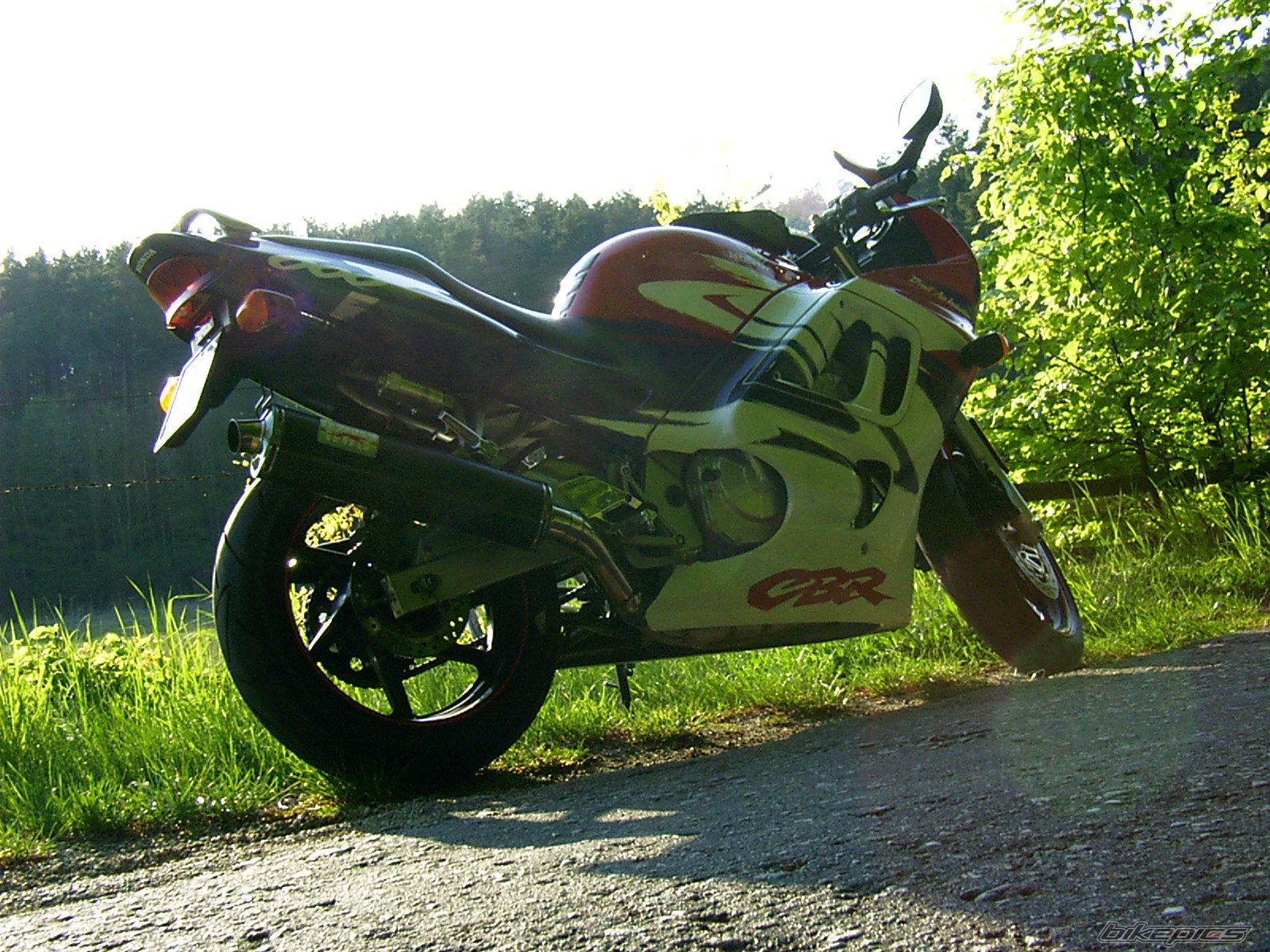 Photo 1284734