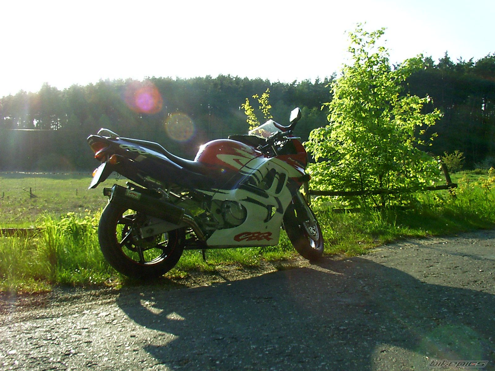 Photo 1284737