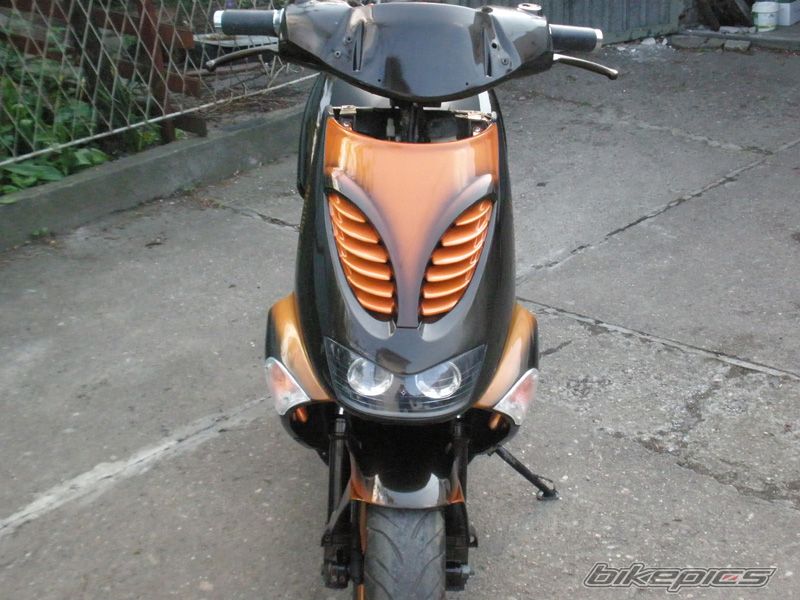 Photo 1284750