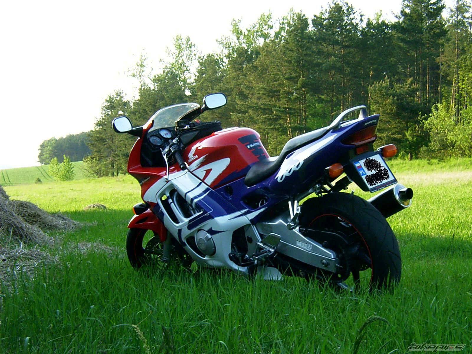 Photo 1284762
