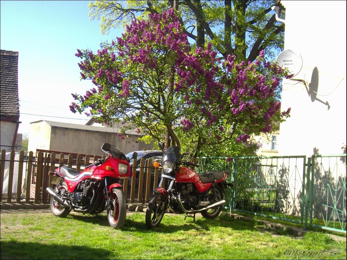 Photo 1284771