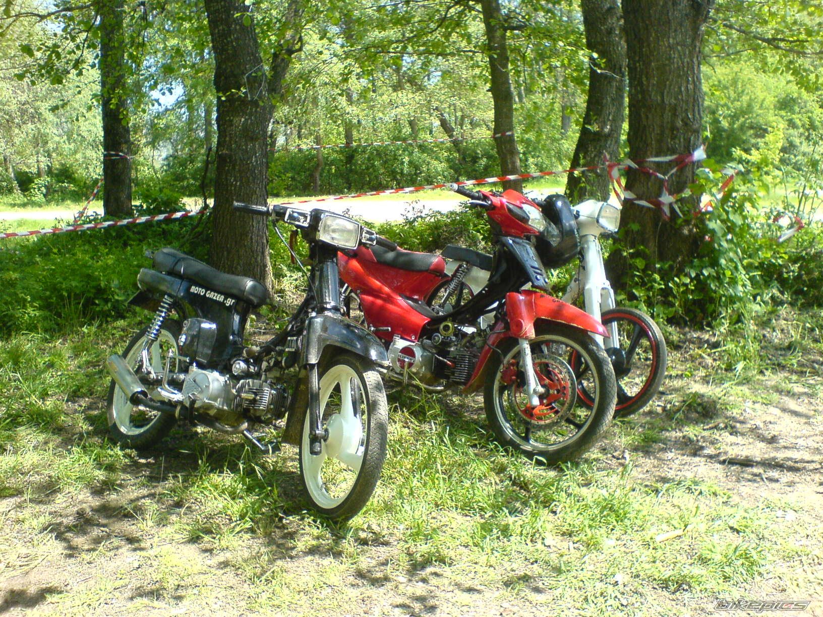 Photo 1284787