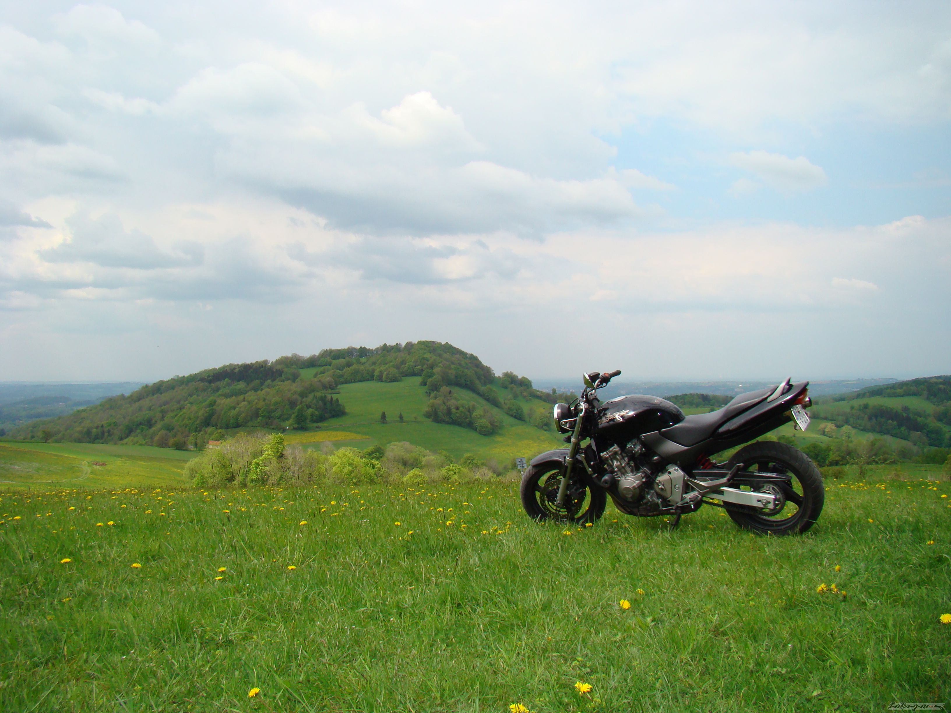 Photo 1284814