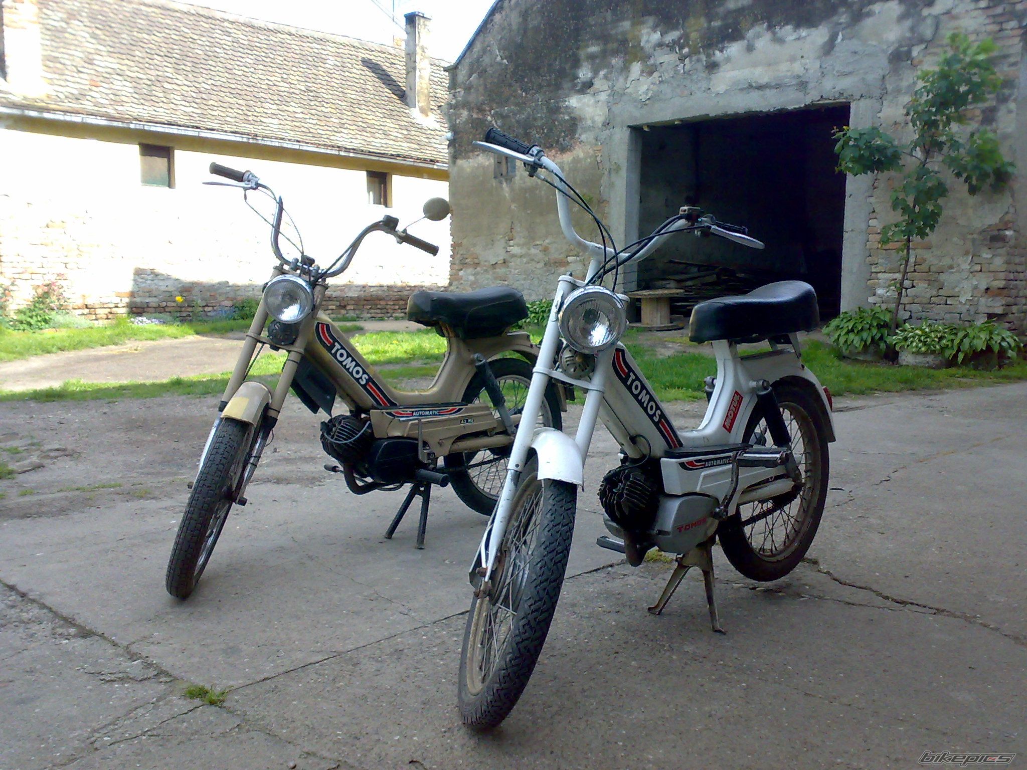 Photo 1284838