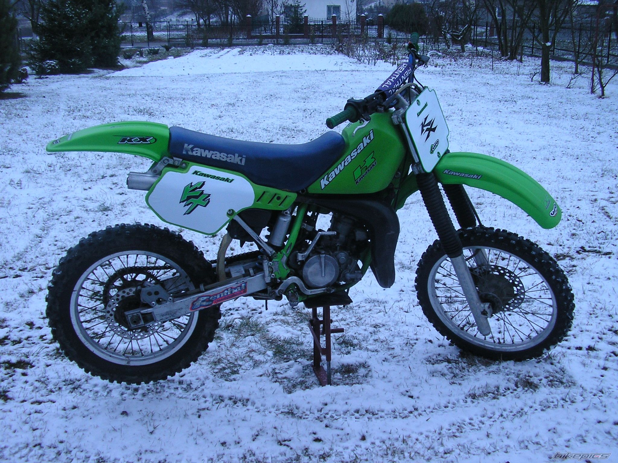 Photo 1284862