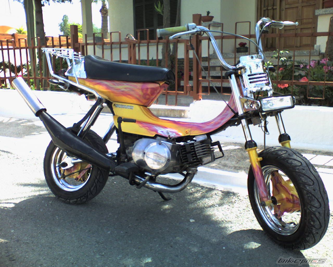 Photo 1284945