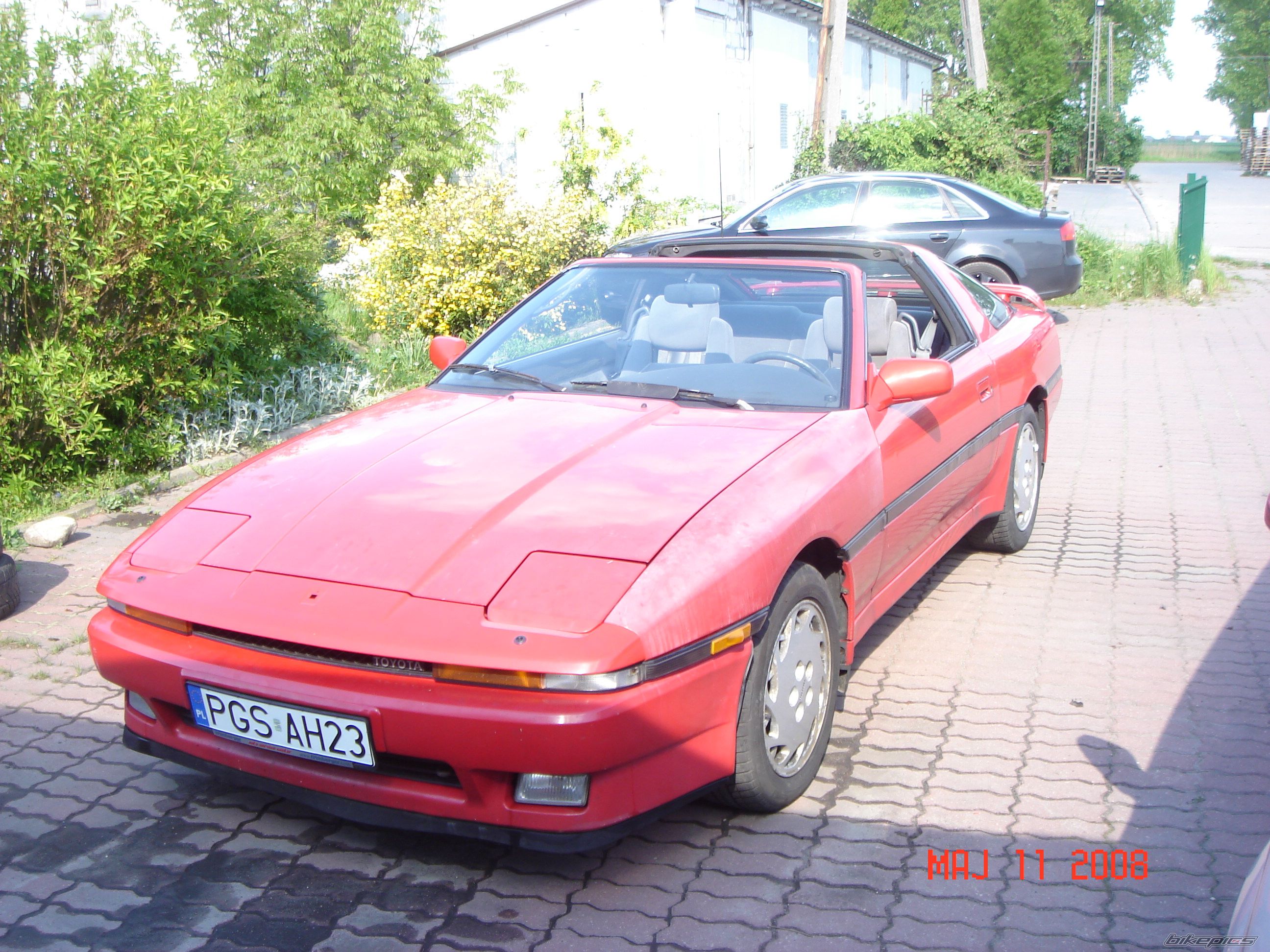 Photo 1284982