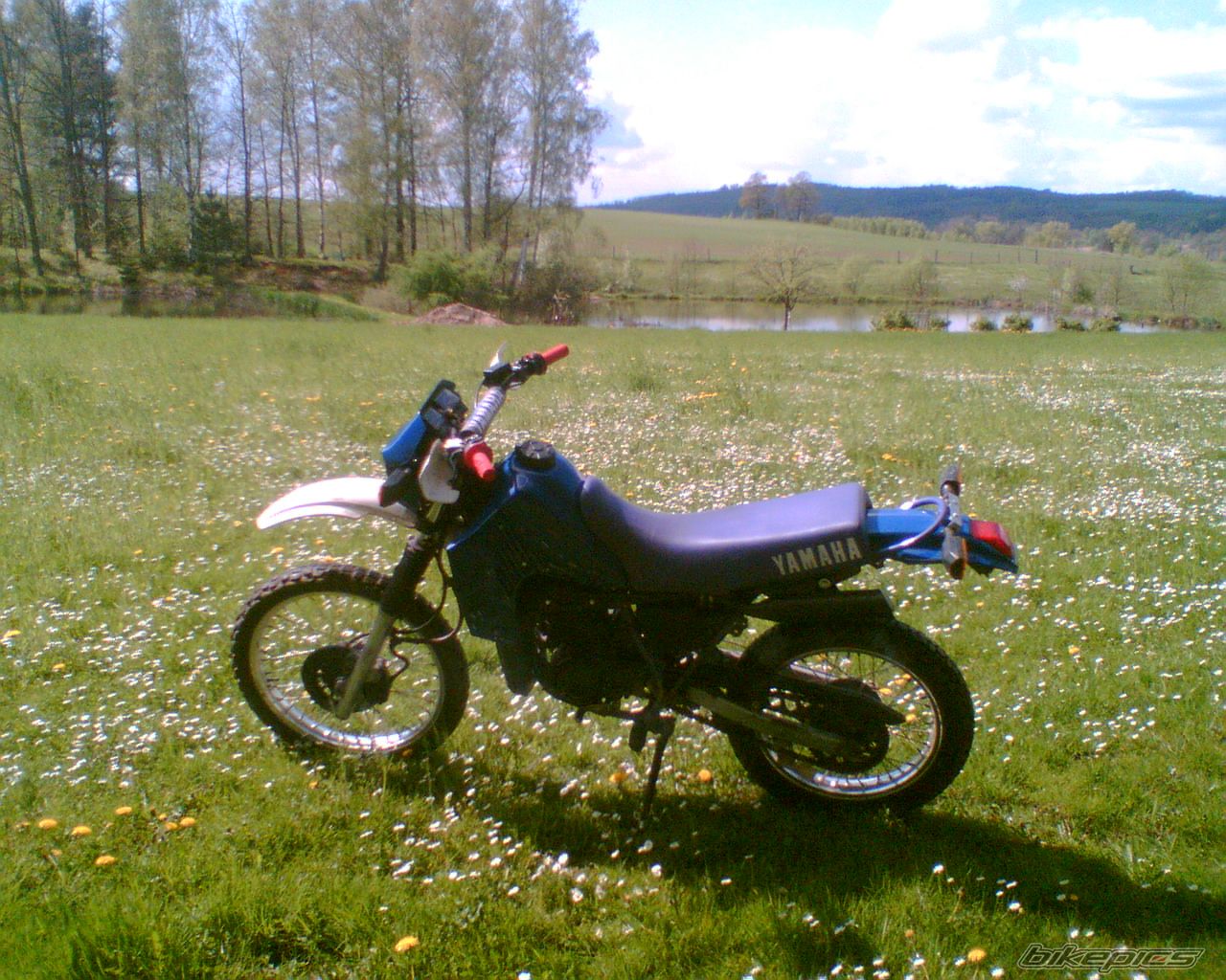 Bike Photo 1284996