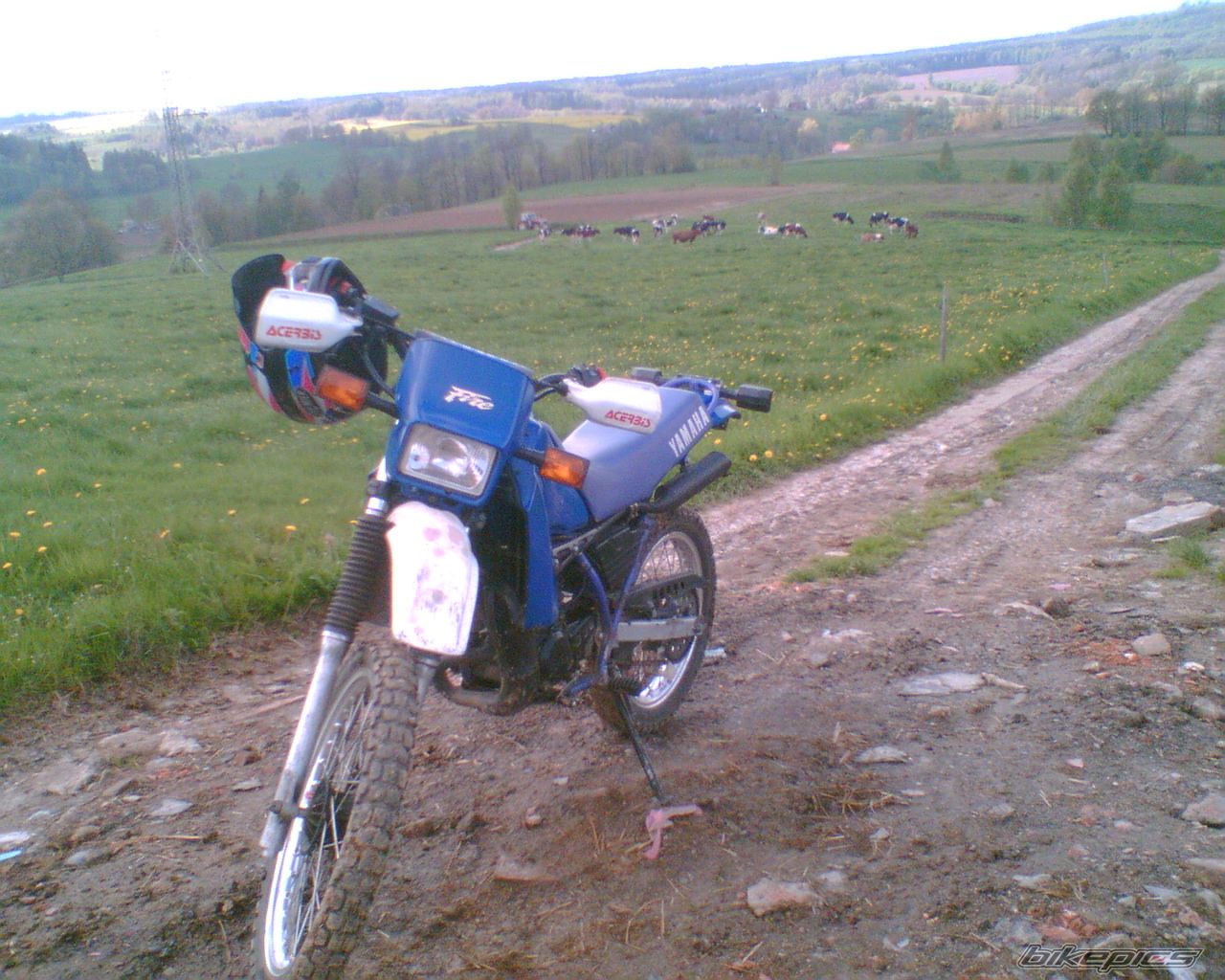 Bike Photo 1284997