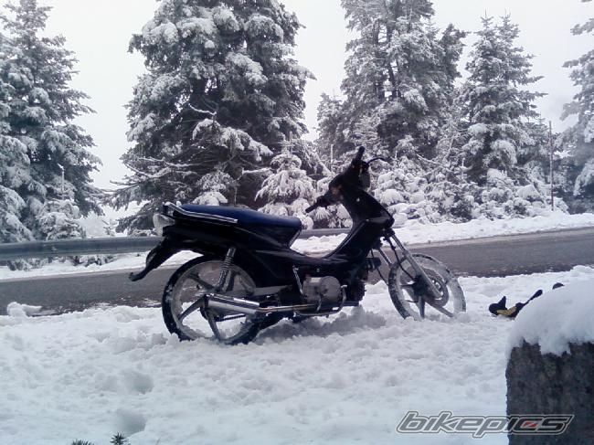 Photo 1285009