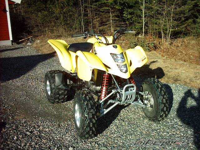 Photo 128503