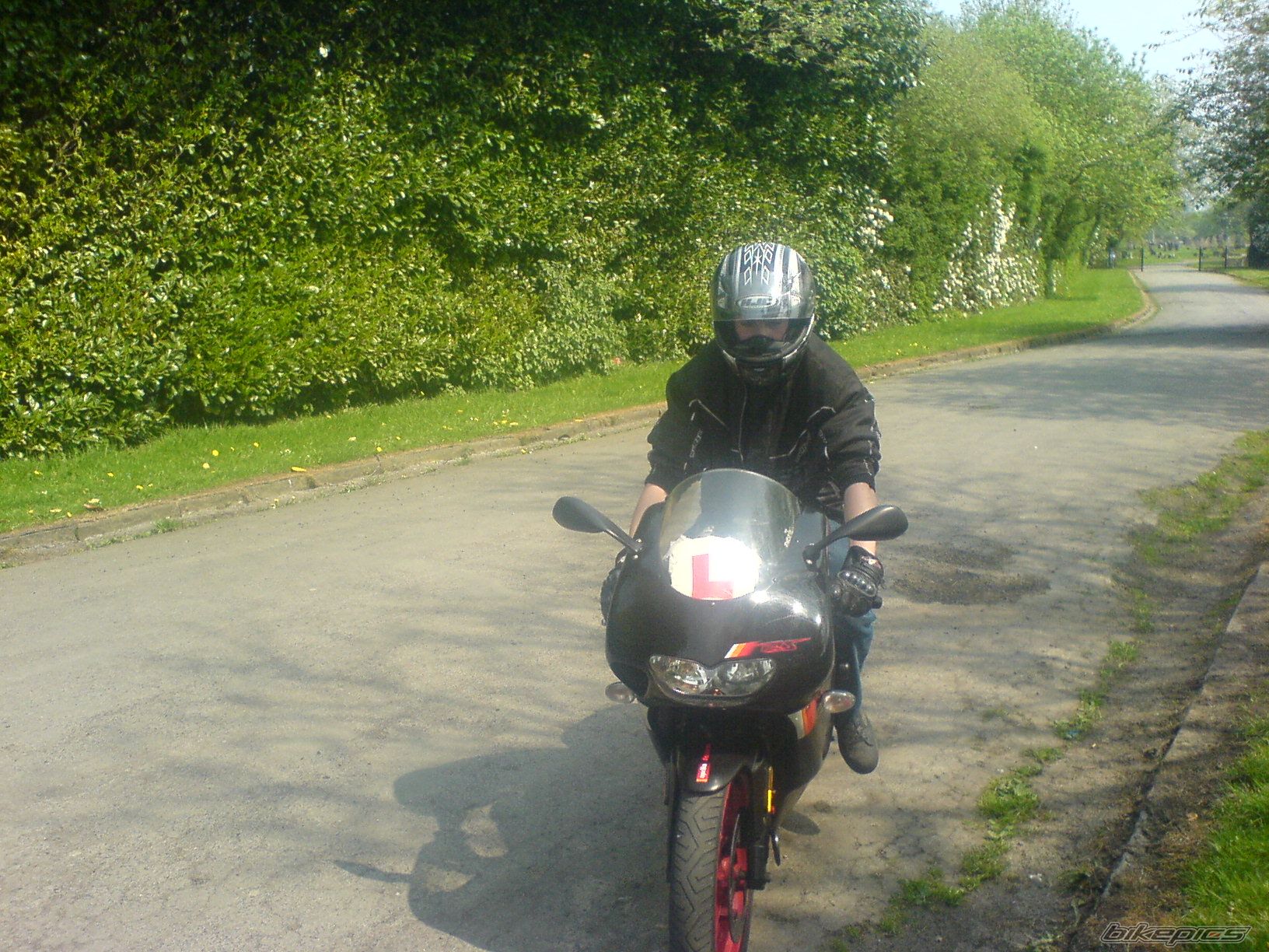 Photo 1285059