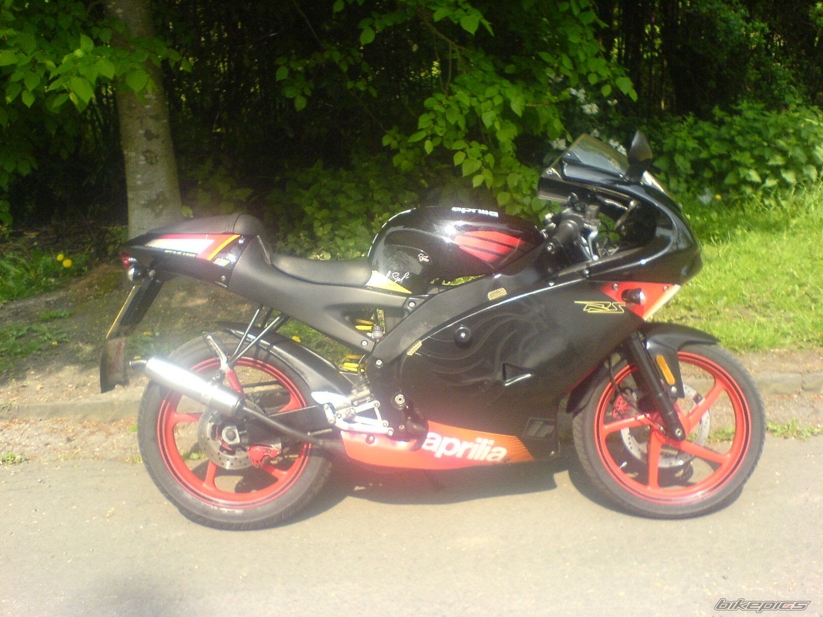 Photo 1285063