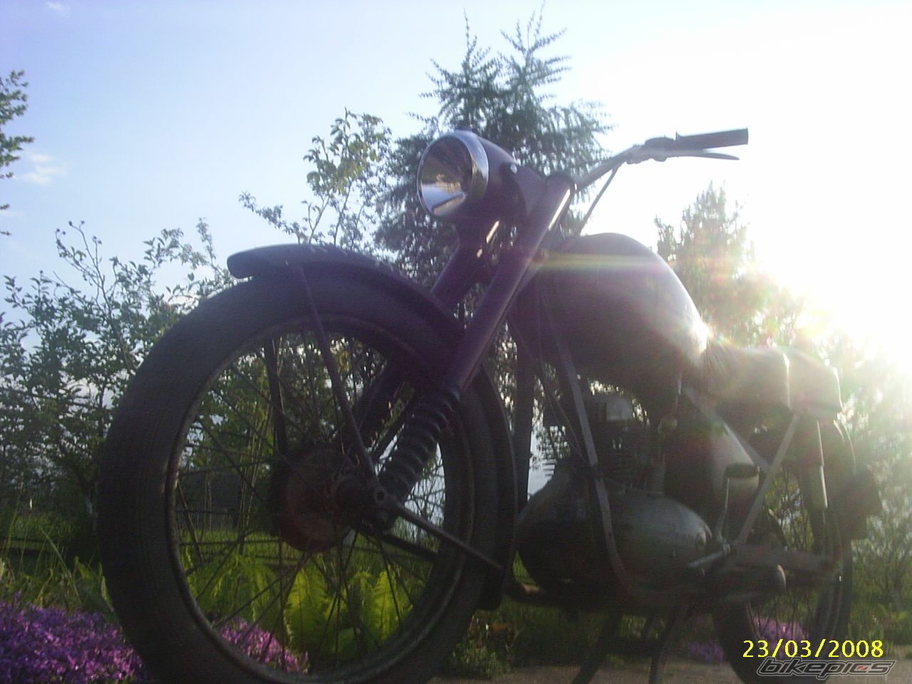Photo 1285110