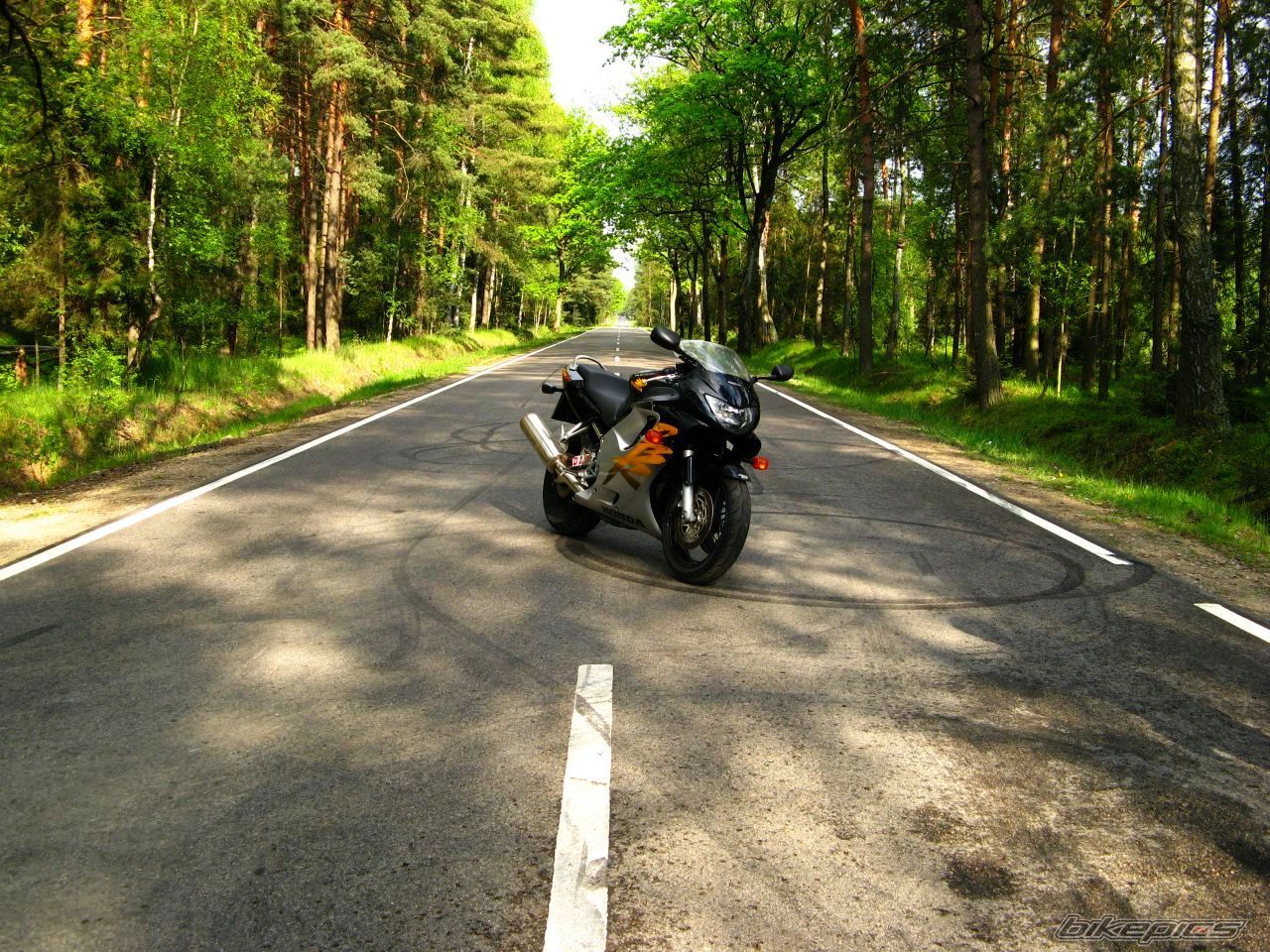 Bike Photo 1285210