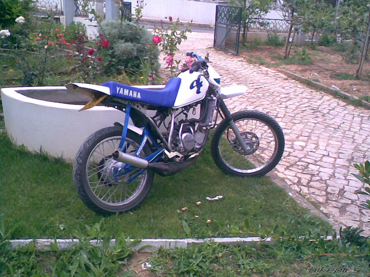 Photo 1285332