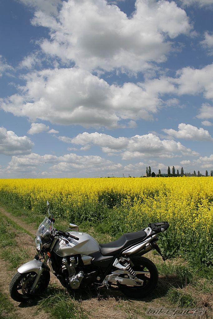 Bike Photo 1285341