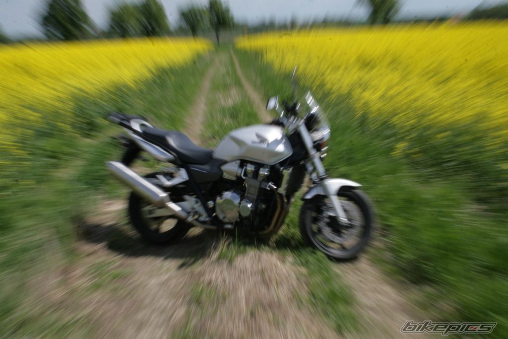 Photo 1285362