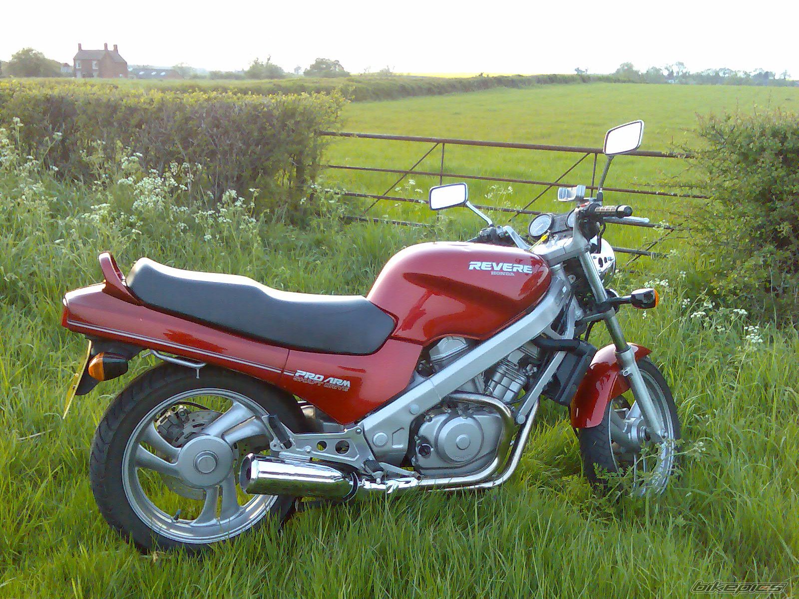 Photo 1285383