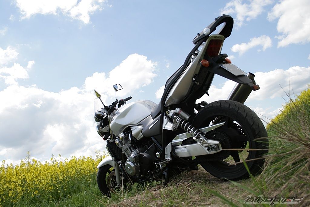 Photo 1285421