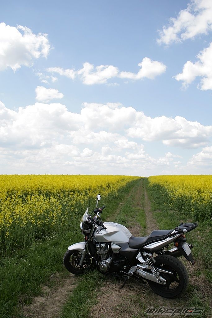 Bike Photo 1285423