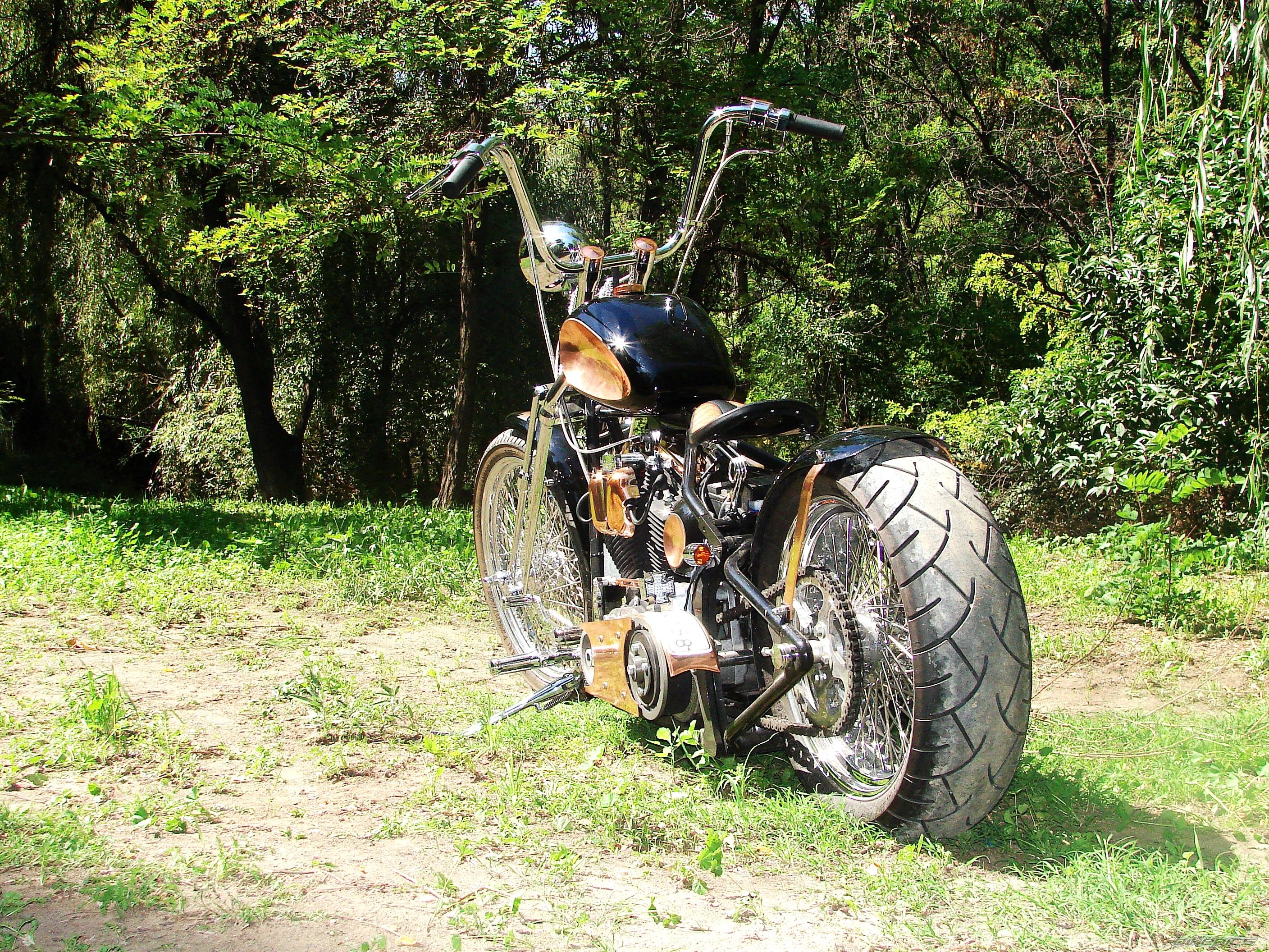 Photo 1285425