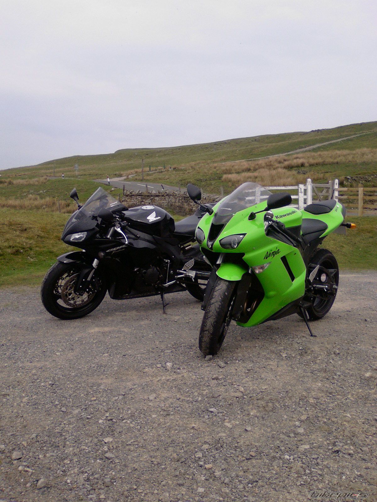 Photo 1285440