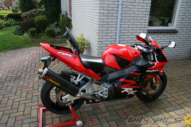 Photo 1285448