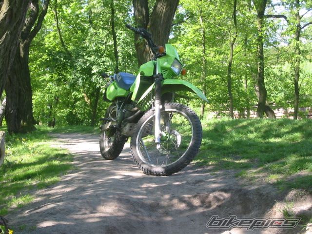 Photo 1285467