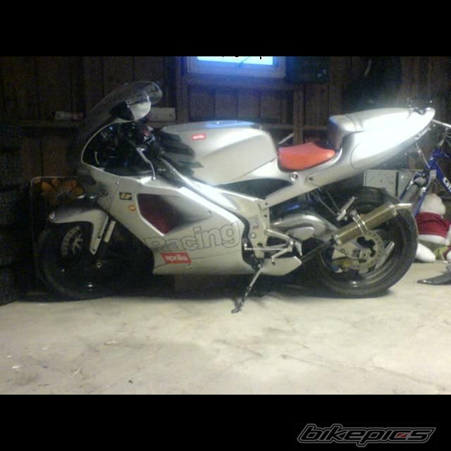 Photo 1285493