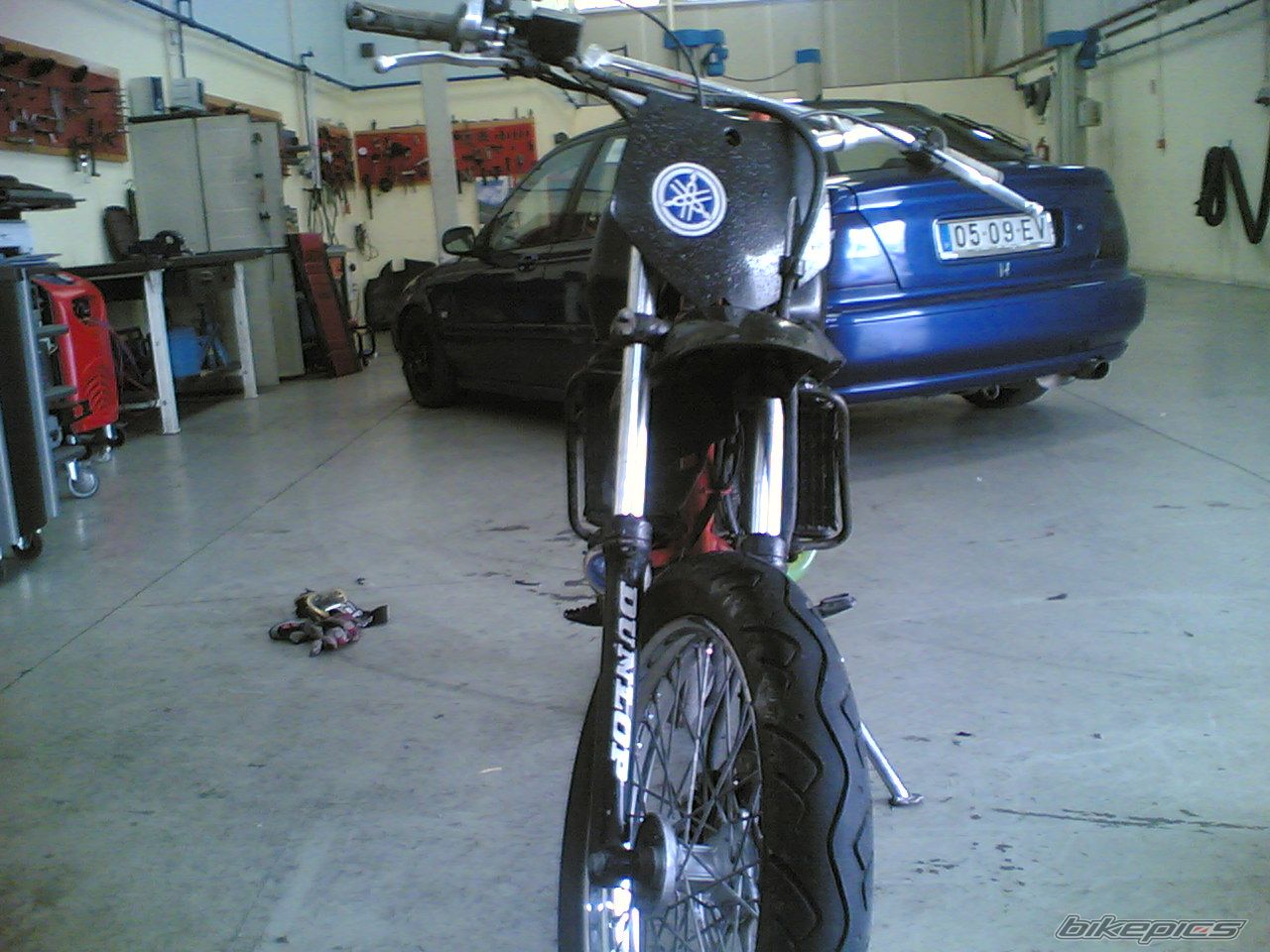 Photo 1285509